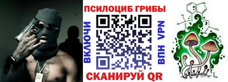 Псилоцибиновые грибы Psilocybine cubensis  где купить   KRAKEN сайт  Октябрьский 
